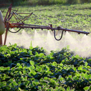 Pesticides and Children's Health: The Myth of Safe Pesticides 