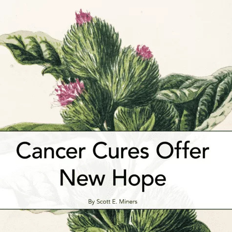Cancer Cures Offer  New Hope