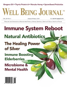 The Well Being Journal January/February 2020 cover
