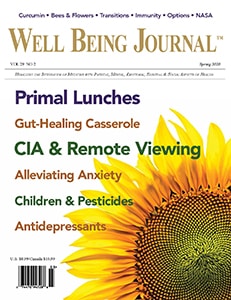 Well Being Journal Spring 2020