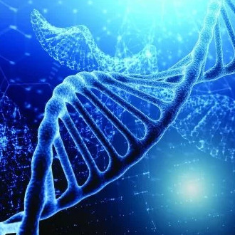 Nutrigenomics, Genetics & Epigenetics