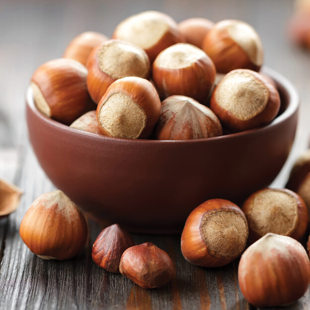 Health Benefits of Hazelnuts: Nutritional Value and Wellness Impact